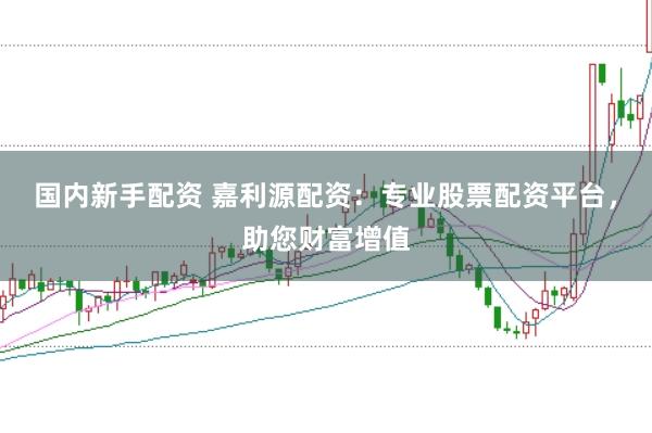 国内新手配资 嘉利源配资:专业股票配资平台,助您财富增值