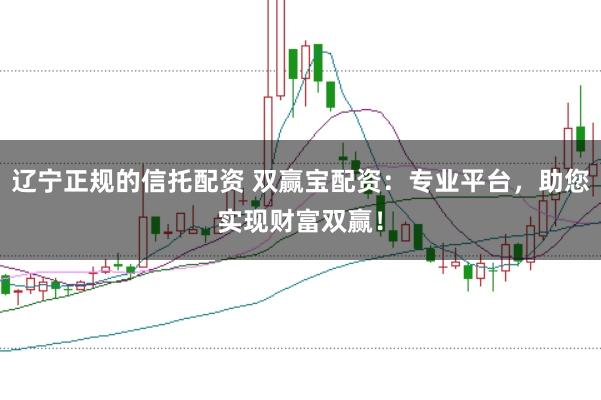 辽宁正规的信托配资 双赢宝配资：专业平台，助您实现财富双赢！