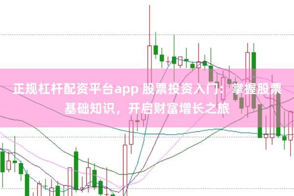 正规杠杆配资平台app 股票投资入门:掌握股票基础知识,开启财富增长之旅
