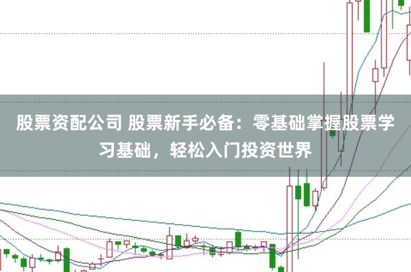 股票资配公司 股票新手必备:零基础掌握股票学习基础,轻松入门投资世界