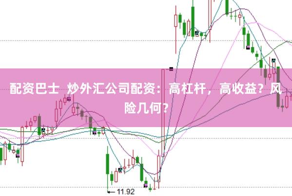 配资巴士 炒外汇公司配资:高杠杆,高收益?风险几何?