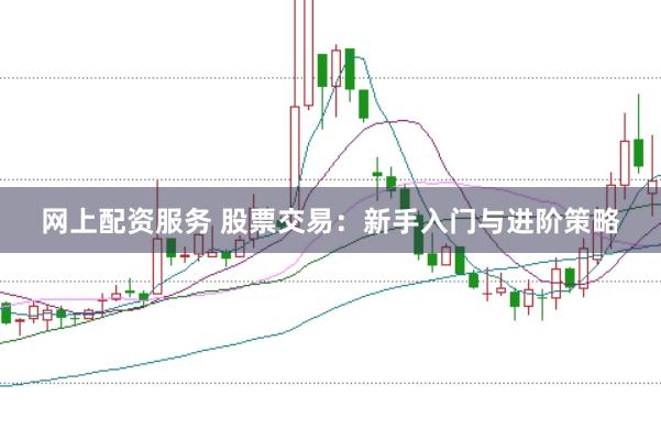 网上配资服务 股票交易：新手入门与进阶策略