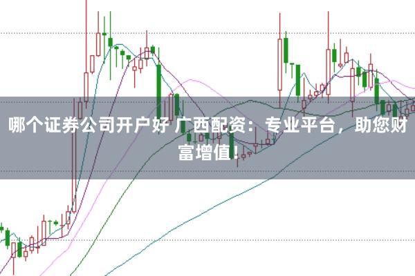哪个证券公司开户好 广西配资:专业平台,助您财富增值!