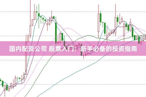国内配资公司 股票入门：新手必备的投资指南