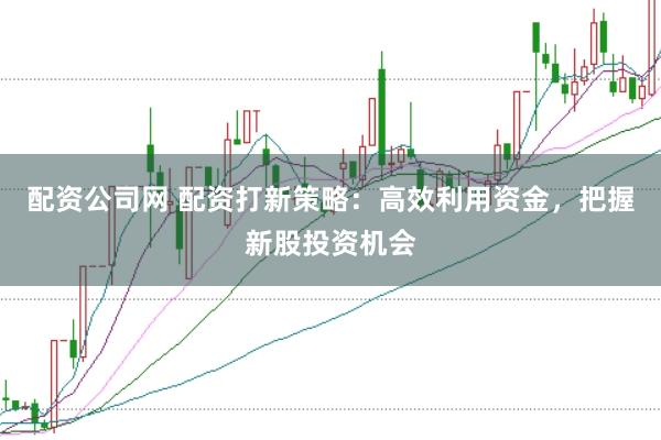 配资公司网 配资打新策略：高效利用资金，把握新股投资机会