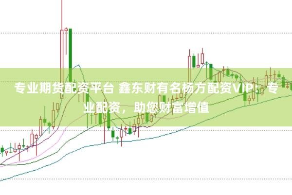 专业期货配资平台 鑫东财有名杨方配资VIP：专业配资，助您财富增值