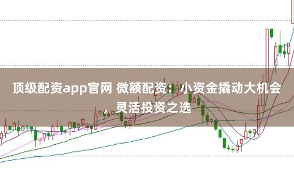 顶级配资app官网 微额配资:小资金撬动大机会,灵活投资之选
